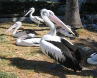 Christmas Cove Caravan Park - Accommodation Noosa 0