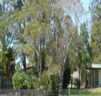 Nimbin Backpackers at Grannys Farm - Accommodation Noosa