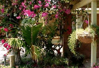 Denham Villas - Accommodation Noosa