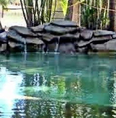 Douglas Daly Holiday Park - Accommodation Noosa 2