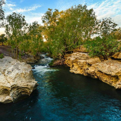 Douglas Daly Holiday Park - Accommodation Noosa 7