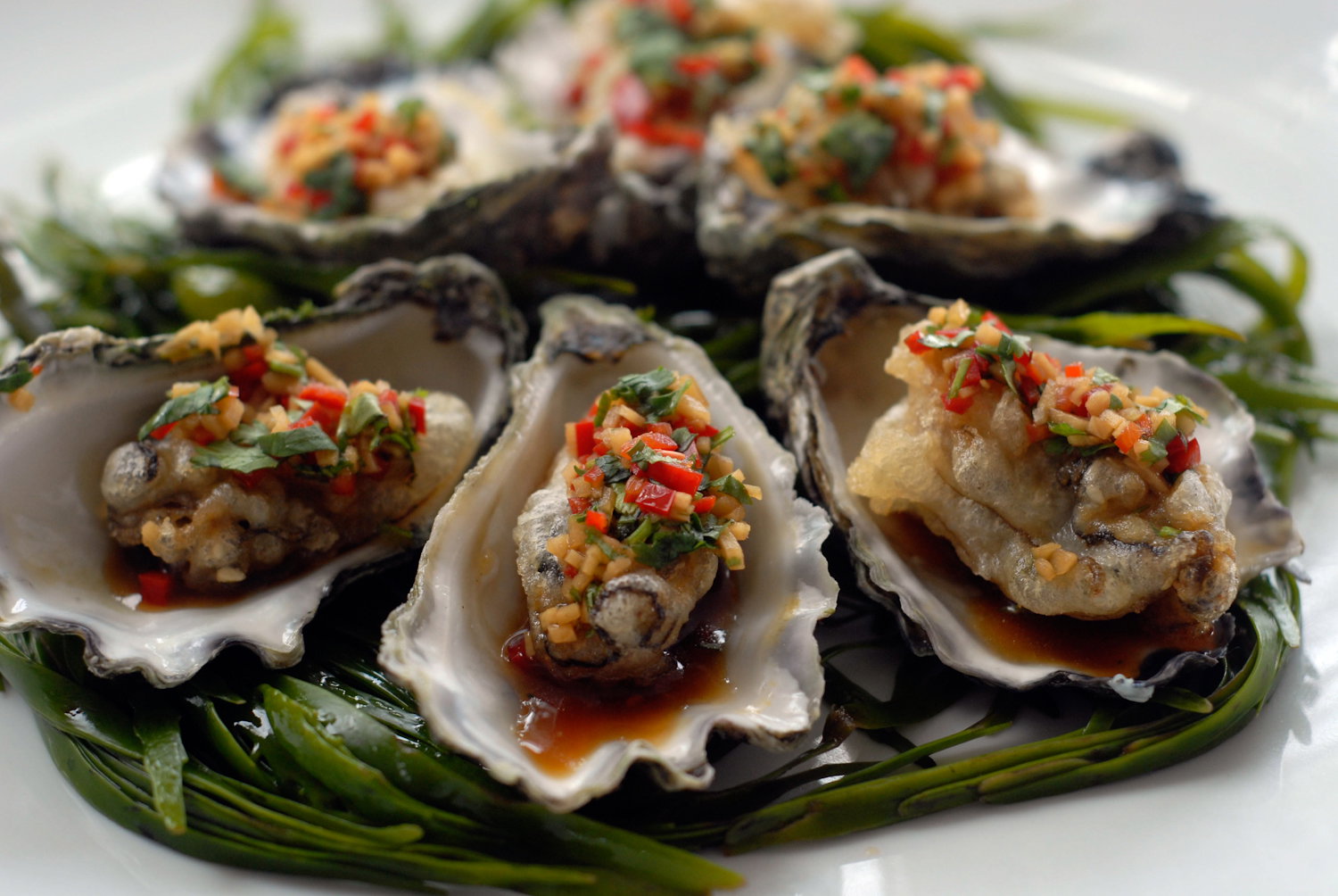 Mollymook NSW Accommodation Noosa