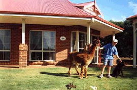  Accommodation Noosa
