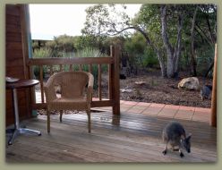 Kangaroo Island Wilderness Resort - Accommodation Noosa 1