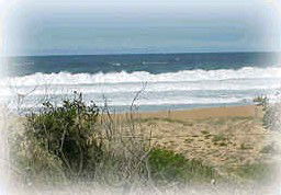 Wagstaffe NSW Accommodation Noosa