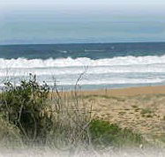 Mcgregors By The Bay - Accommodation Noosa