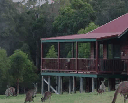  Accommodation Noosa