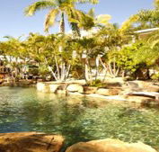 Colonial Palms Hotel Best Western - Accommodation Noosa