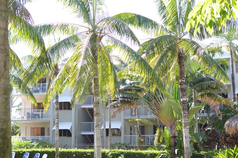Cairns Beach Resort - Accommodation Noosa 1