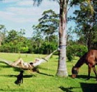 Neds Bed Horse O Tel - Accommodation Noosa