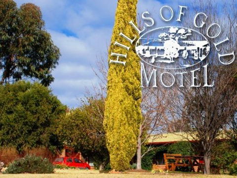 Hills Of Gold Motel - Accommodation Noosa 3