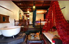 Casuarina Country Inn - Accommodation Noosa 3