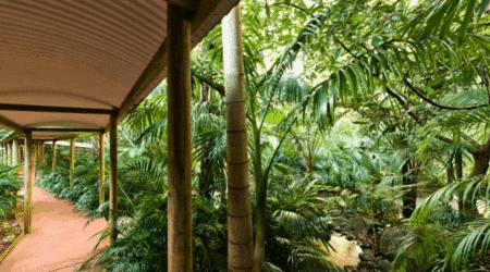 Pethers Rainforest Retreat - Accommodation Noosa 4