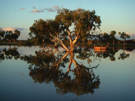 Wooleen Outback Station Stay - Accommodation Noosa 3