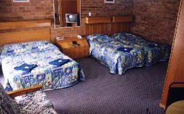 Border Motel - Accommodation Noosa 0