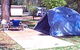 Wintersun Caravan Park - thumb 3
