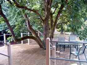Magnolia House Marysville - Accommodation Noosa 0