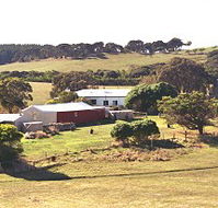 Sun Valley Eco Farm - Accommodation Noosa
