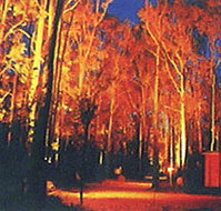 Dwellingup Chalet amp Caravan Park - Accommodation Noosa
