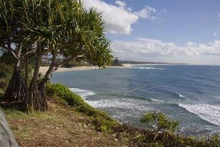 Moffat Beach Pet Friendly Holiday House - Accommodation Noosa 9