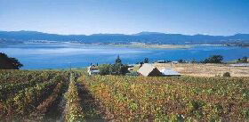 Marions Vineyard  - Accommodation Noosa 0
