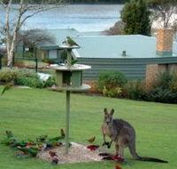 Gipsy Point Lakeside - Accommodation Noosa