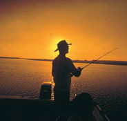 Point Stuart Wilderness Lodge - Accommodation Noosa