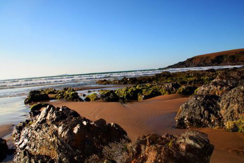 ArtHOUSE Beachfront Accommodation - Accommodation Noosa 8