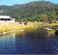 Millybrook Lodge - Accommodation Noosa