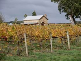 Honeysuckle Rise Country Accommodation - Accommodation Noosa 0