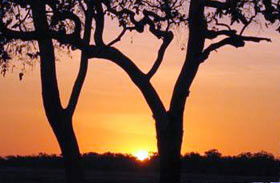 Coodardie Station Stay - Accommodation Noosa 0