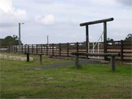 Mt White Lodge - Accommodation Noosa 2