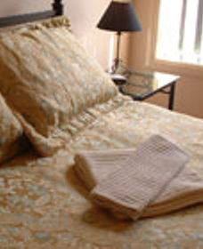 Absolutely Colleen - Accommodation Noosa 0