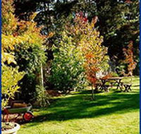 Peartree Cottage Leura - Accommodation Noosa