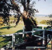 Kidogo Cottage - Accommodation Noosa