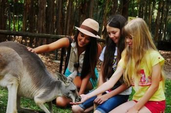 Pacific Horizons Resort - Accommodation Noosa 23