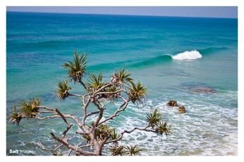 Pacific Horizons Resort - Accommodation Noosa 24
