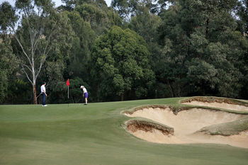 Chateau Elan - Accommodation Noosa 15