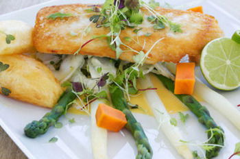 Caves Beachside Hotel - Accommodation Noosa 14