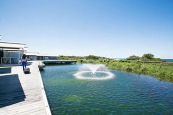 Caves Beachside Hotel - Accommodation Noosa 42