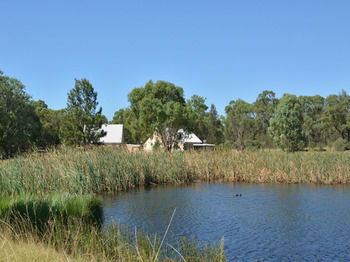 Madigan Wine Country Cottages - Accommodation Noosa 95
