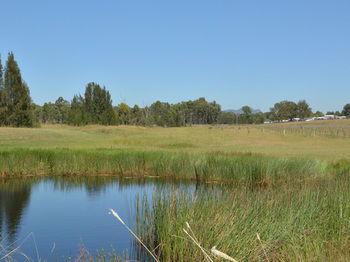 Madigan Wine Country Cottages - Accommodation Noosa 97