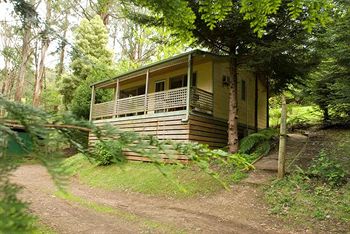 Hill 'N' Dale Farm Cottages - Accommodation Noosa 3