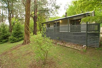 Hill 'N' Dale Farm Cottages - Accommodation Noosa 12