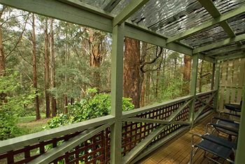 Hill 'N' Dale Farm Cottages - Accommodation Noosa 13