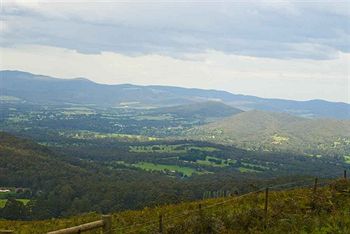 Hill 'N' Dale Farm Cottages - Accommodation Noosa 14
