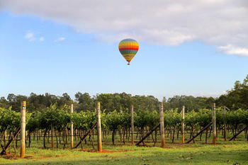 Carriages Boutique Hotel - Accommodation Noosa 26