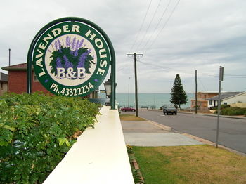 Lavender House B&B - Accommodation Noosa 18