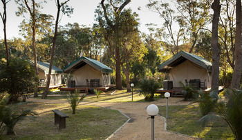 Ocean Beach Resort & Holiday Park - Accommodation Noosa 40