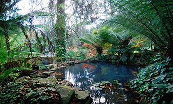 Cottages At Monreale - Accommodation Noosa 6